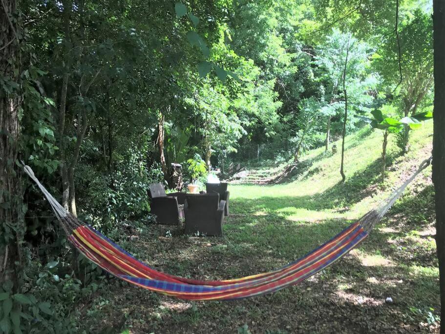 Appartement Colibri , Les Anses D 'Arlet Dış mekan fotoğraf