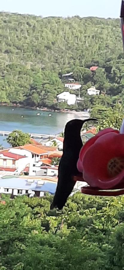 Appartement Colibri , Les Anses D 'Arlet Dış mekan fotoğraf